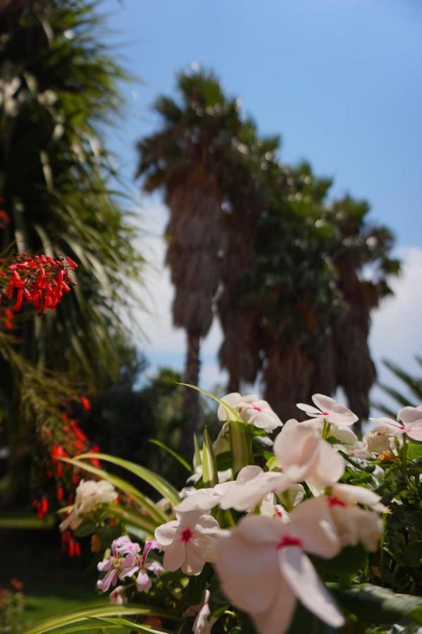 B&B Villa Del Sole Gizzeria Dış mekan fotoğraf