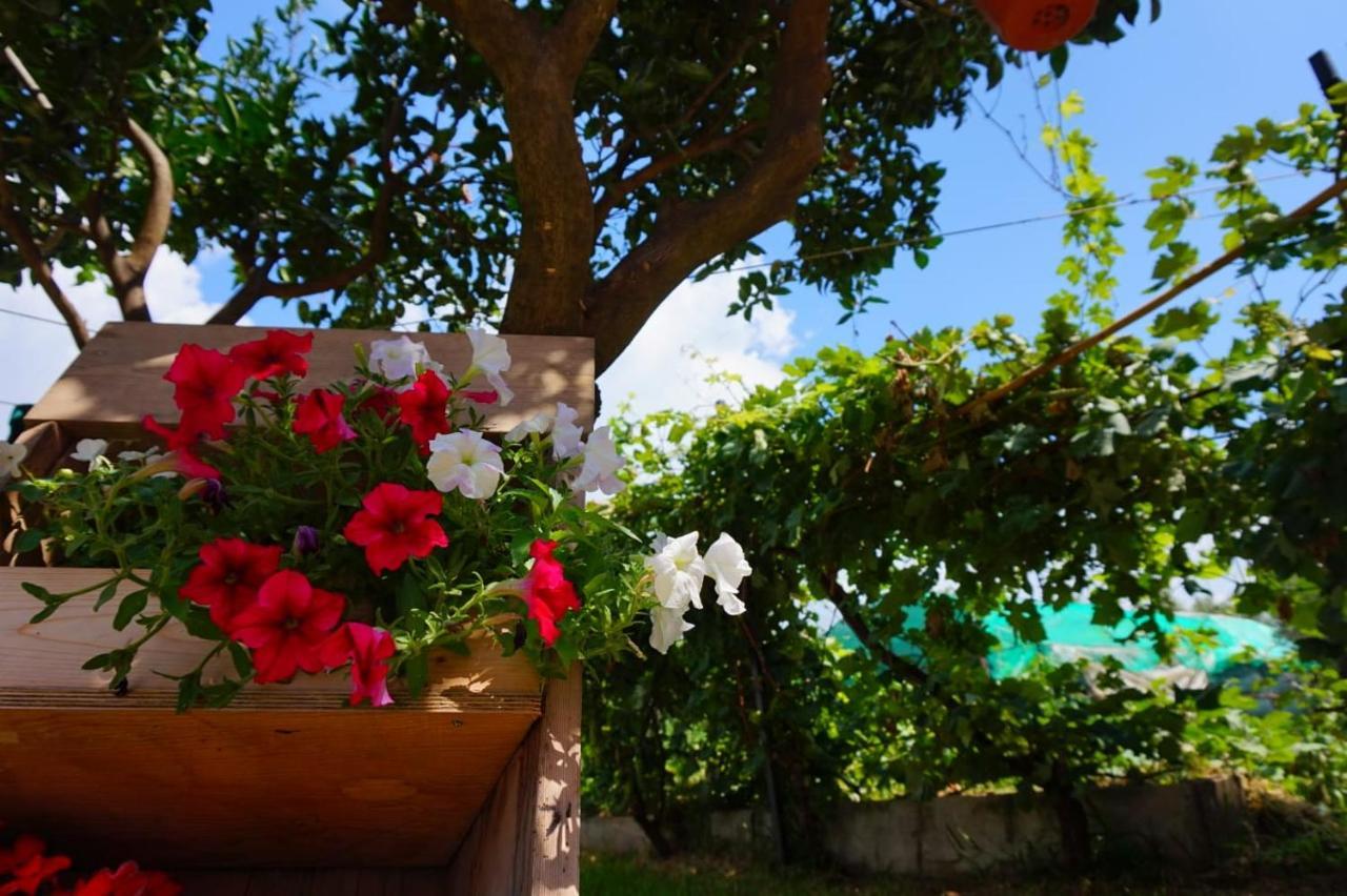 B&B Villa Del Sole Gizzeria Dış mekan fotoğraf