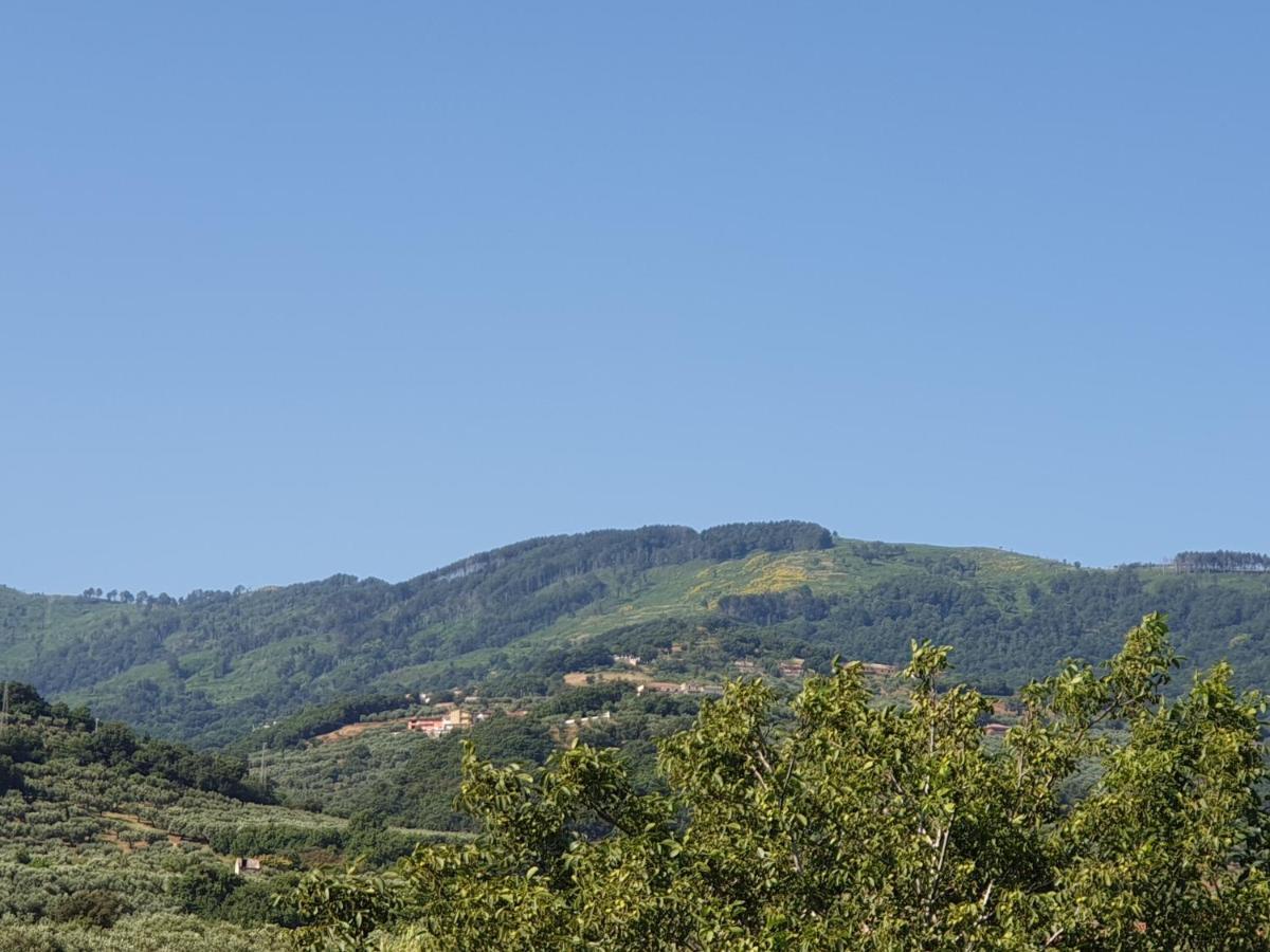 B&B Villa Del Sole Gizzeria Dış mekan fotoğraf